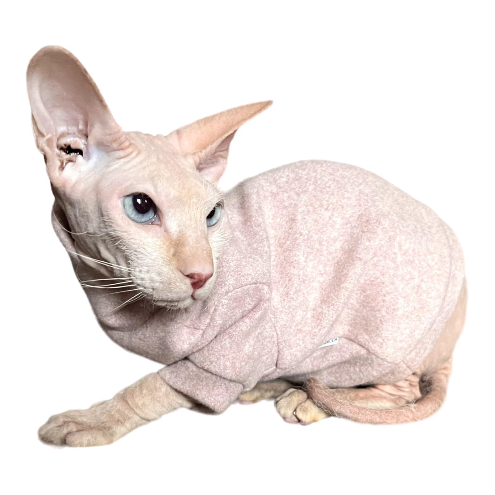Kotomoda Cat's Cozy Comfort for Hairless Beauties:Winter sweater Brushed coco Nude for Sphynx and Naked Cats (X-Small) - Image 4