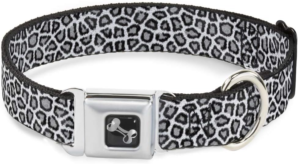 Buckle-Down Dog Collar Seatbelt Buckle Leopard White 15 to 26 Inches 1.0 Inch Wide