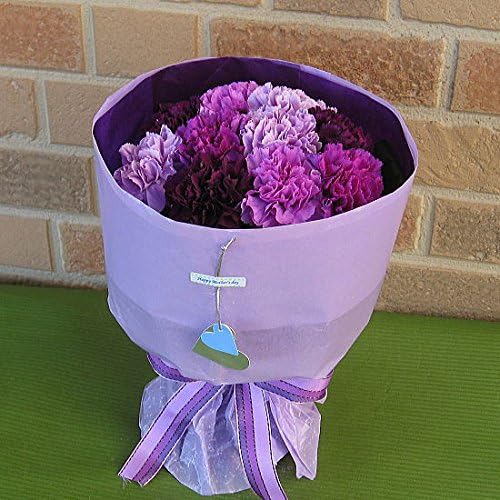 Amazon 母の日限定 フラワーショップヤーミー特選 サントリーの青いカーネーションの花束 ムーンダストmix 花束 オンライン通販