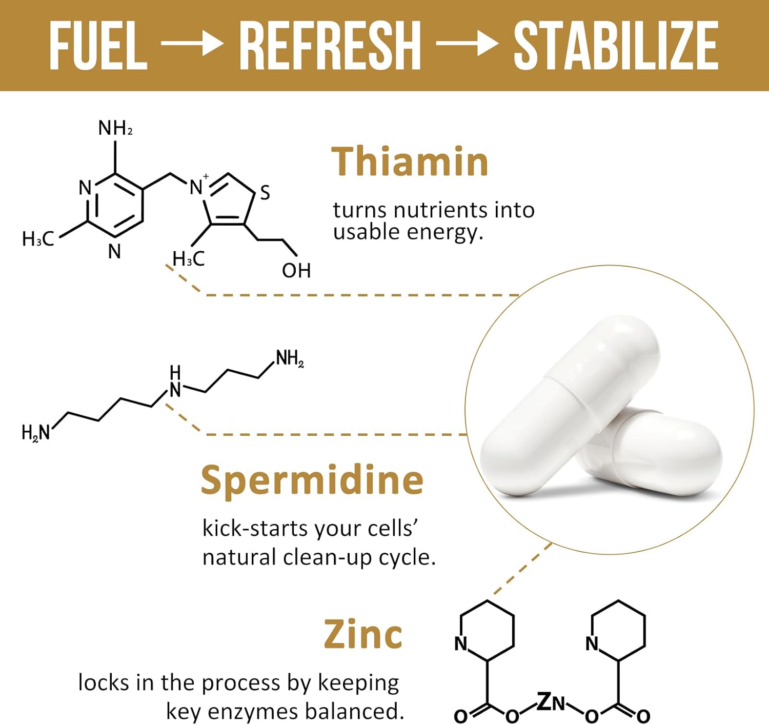 Spermidine Supplements 13mg - 1300mg Wheat Germ Extract Capsules Potent Formula with Higher Spermidine Content and Zinc for Healthy Aging, Daily Immune System and Cell Renewal, 60 Capsules - Image 6