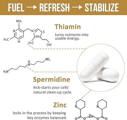Miniatura 5 de Spermidine Supplements 13mg - 1300mg Cápsulas de extracto de germen de trigo, fórmula potente con mayor contenido de espermidina y zinc para un