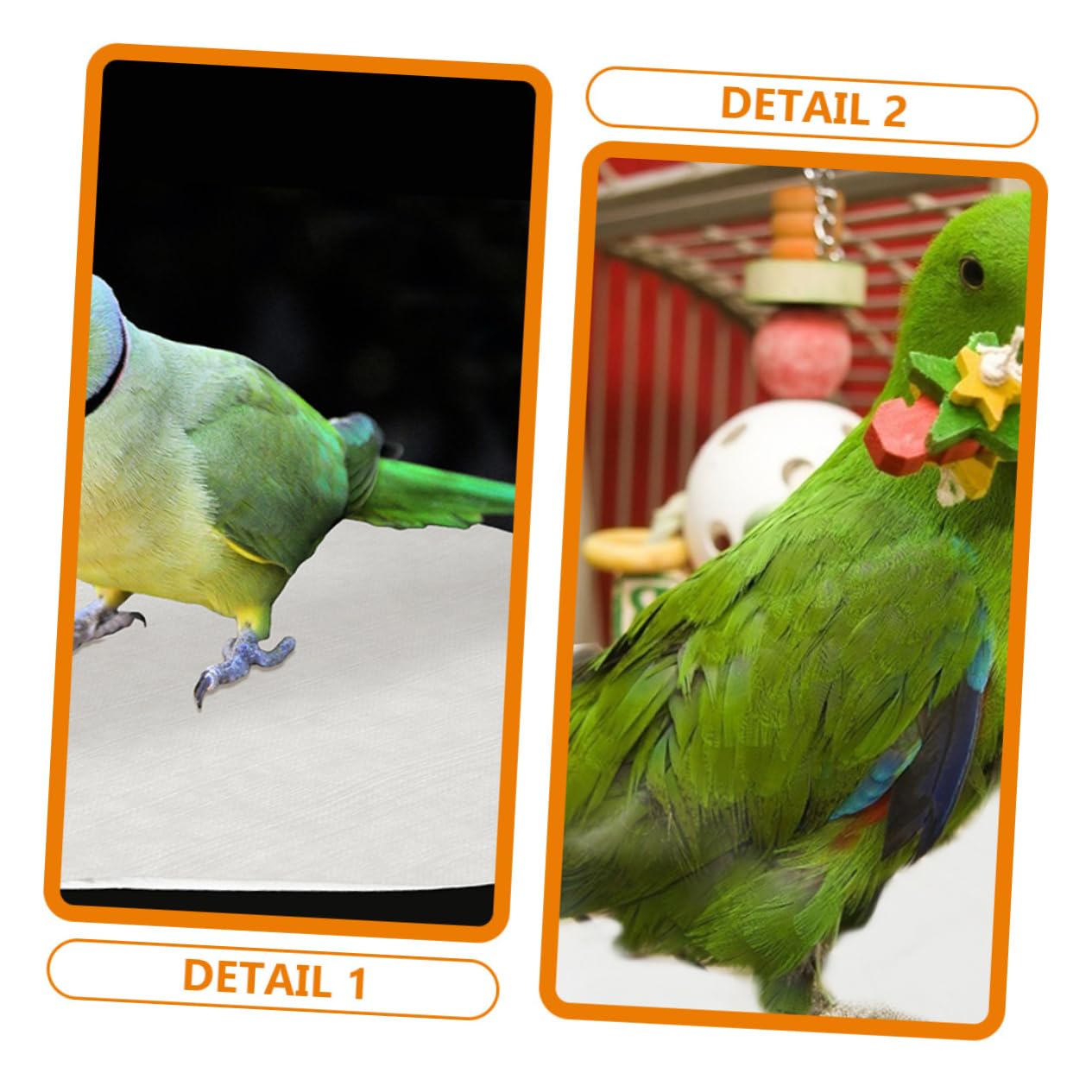 Toddmomy 100pièces Coussins Absorbants pour Cage à Oiseaux Feuilles Jetables pour Cage De Perroquet De Hygiénique Et Nettoyage Facile