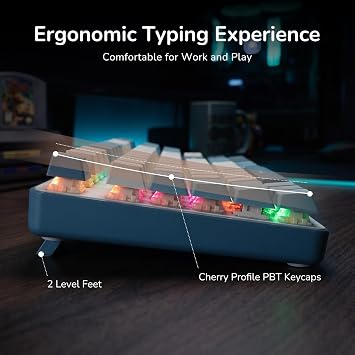 RK ROYAL KLUDGE RK920 Full Size Mechanical Keyboard, Rainbow Backlit Gaming Keyboard, 104 Key Mechanical Keyboard with Numeric Keys, US QWERTY Layout