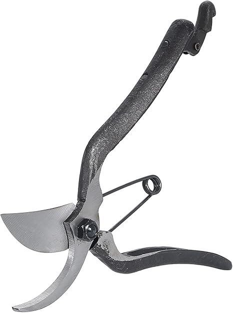 Amazon Tweede Leven 剪定鋏 万能剪定ばさみ 枝切り 昔ながらのレトロな鋏 プロ用 剪定鋏 ガーデニング オーチャード 中庭 庭 剪定はさみ 剪定ハサミ 剪定鋏 剪定ばさみ 園芸用はさみ Amazon Tweede Leven 剪定鋏 万能剪定ばさみ 枝切り 昔ながらのレトロな鋏 プロ用 剪定鋏 ガーデニング オーチャード 中庭 庭 剪定はさみ 剪定ハサミ 剪定鋏 剪定ばさみ 園芸用はさみ