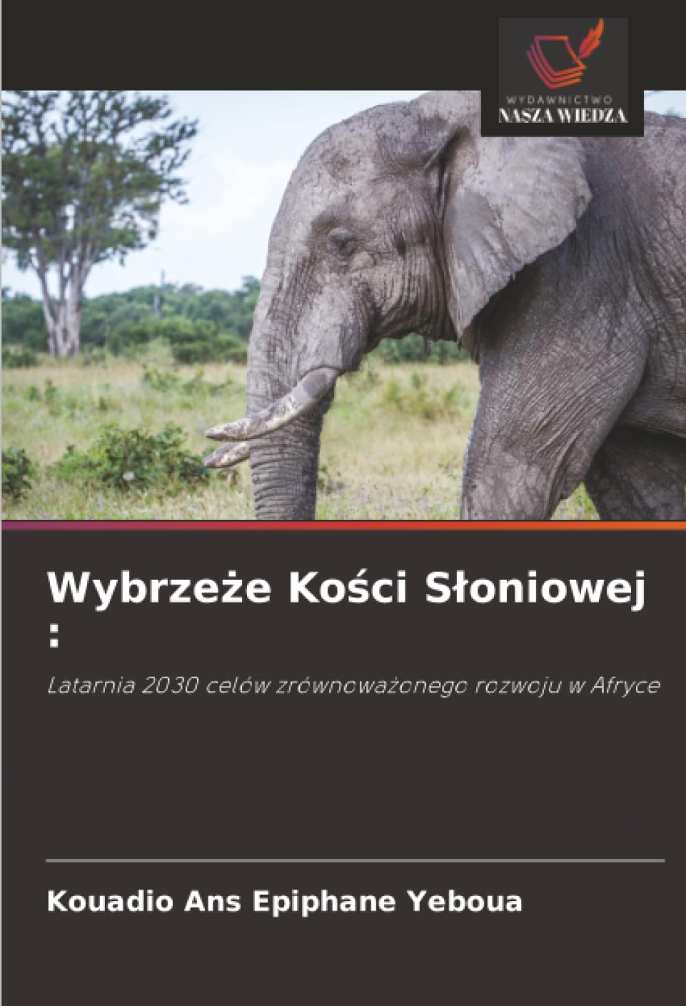 Wybrzeże Kości Sloniowej: Latarnia 2030 celów zrównowa¿onego rozwoju w Afryce