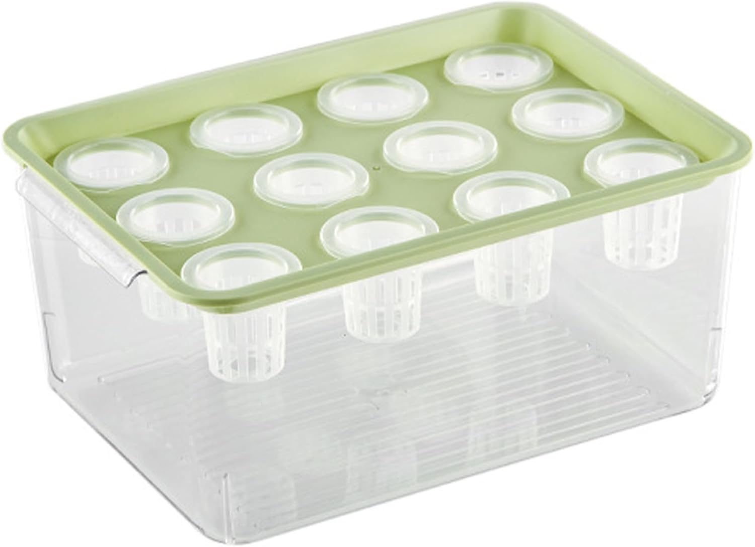 Hydroponic Planter Box, 12-Hole Transparent Aquaponics Growing System with Green Lid for Home, Balcony, or Desktop Decor