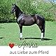 AMKA Kontaktstock mit Seil für Bodenarbeit 120 cm GRÜN Reitstick Bodenarbeit Stock Carrot Stick Horsemanstick für Parelli Arbeit, Natural Horsemanship Karottenstecken Pferdestick