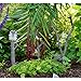 Top Collection 4398 Miniature Fairy Garden Frog Climbing Branch & Planter Stake Decor, Small