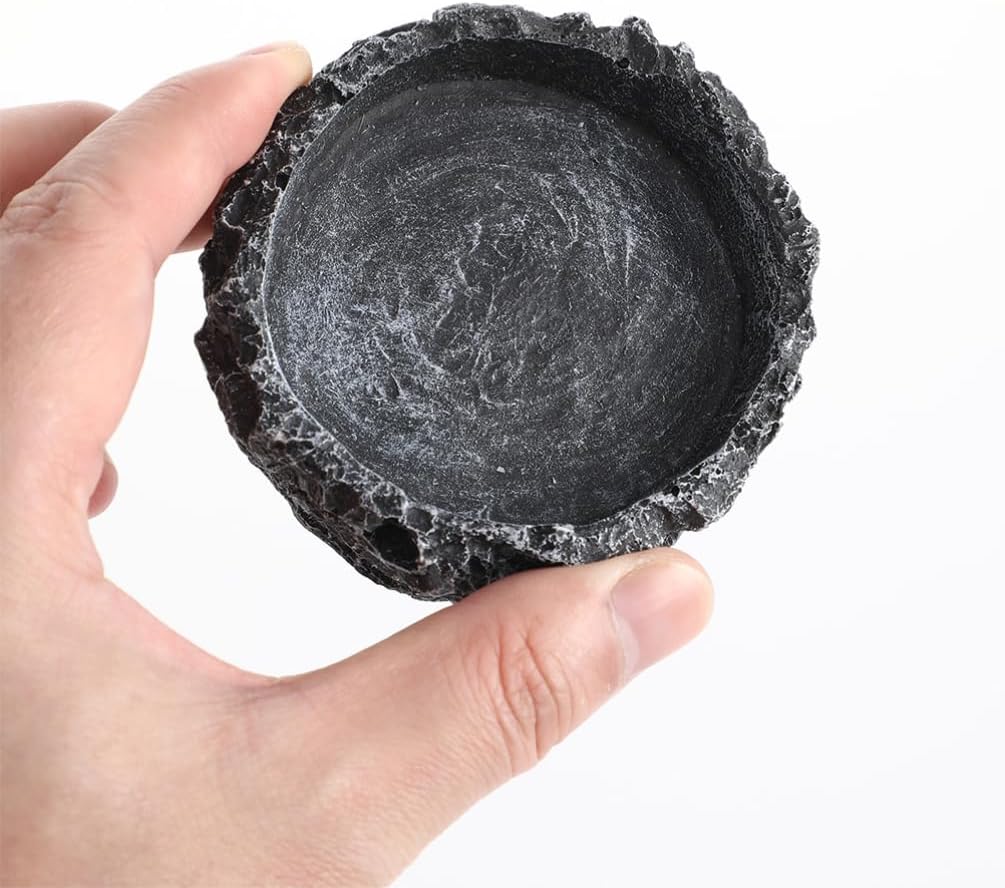 Luxshiny 1set Large Reptile Food Bowl Feeding Tongs Versatile Crab Dish and Tortoise Water Bowl for Bearded Dragons and Snakes and Materials Easy to Clean and Spacious Design