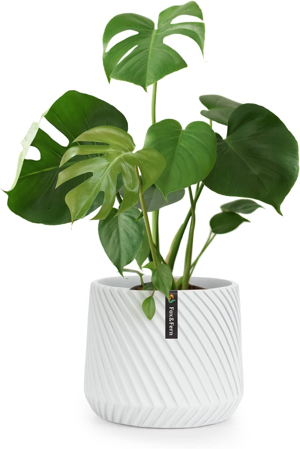 Fox & Fern Flower Pot, 10 Inch Plant Pots Indoor, White Planters for Indoor Plants, White Pots for Indoor Plants - 3D Line Texture - Polystone - Including Drainage Plug - Matte White - 10 Inch Planter Matte White 10 Inch