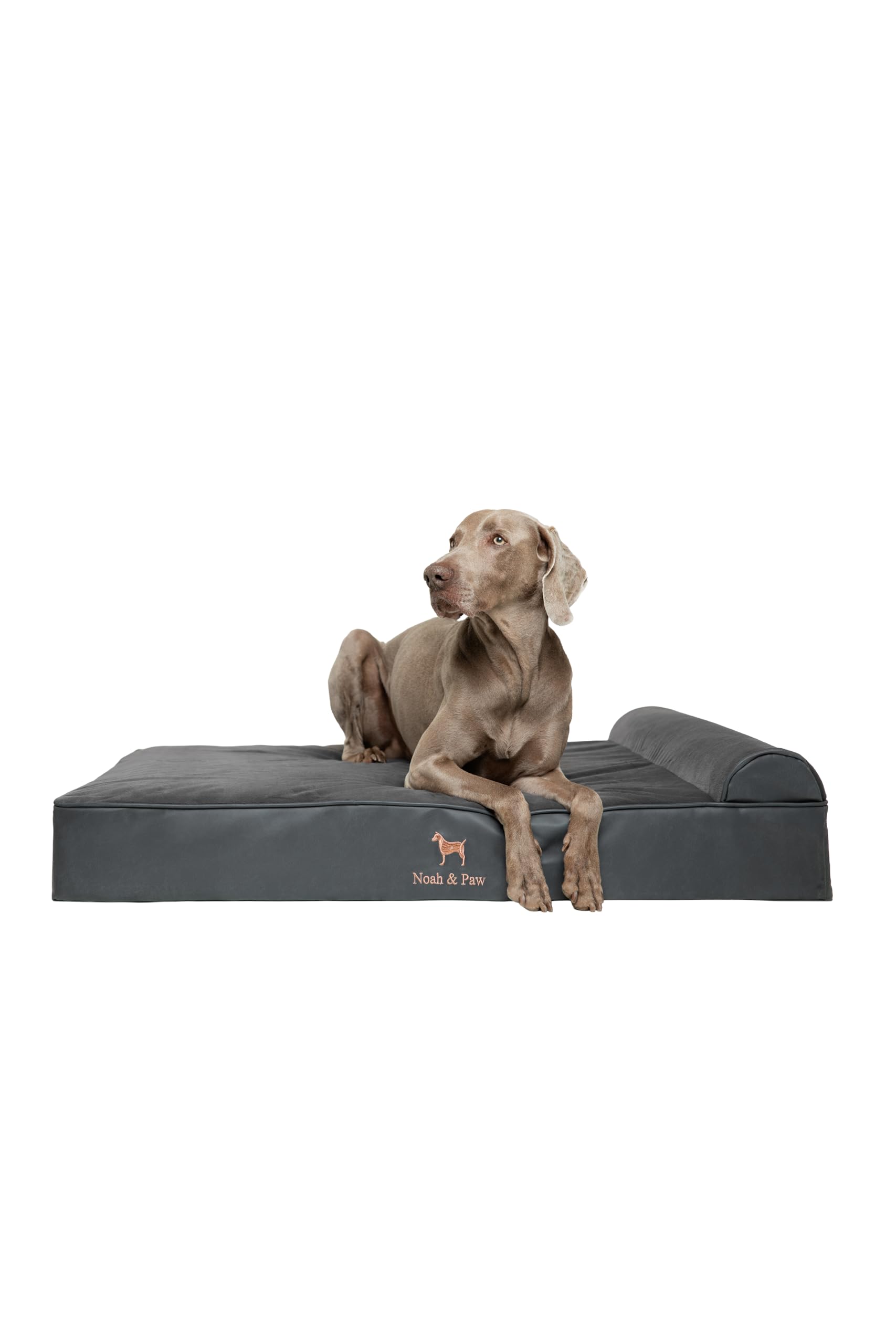 NOAH & PAW XL Dog Bed, 45x35x9.1 Inch, Orthopedic Large Dog Beds, Eggshell Memory Foam Infused with Cooling Gel, Waterproof, Machine Washable, Includes Inner Cover (Faux Leather)