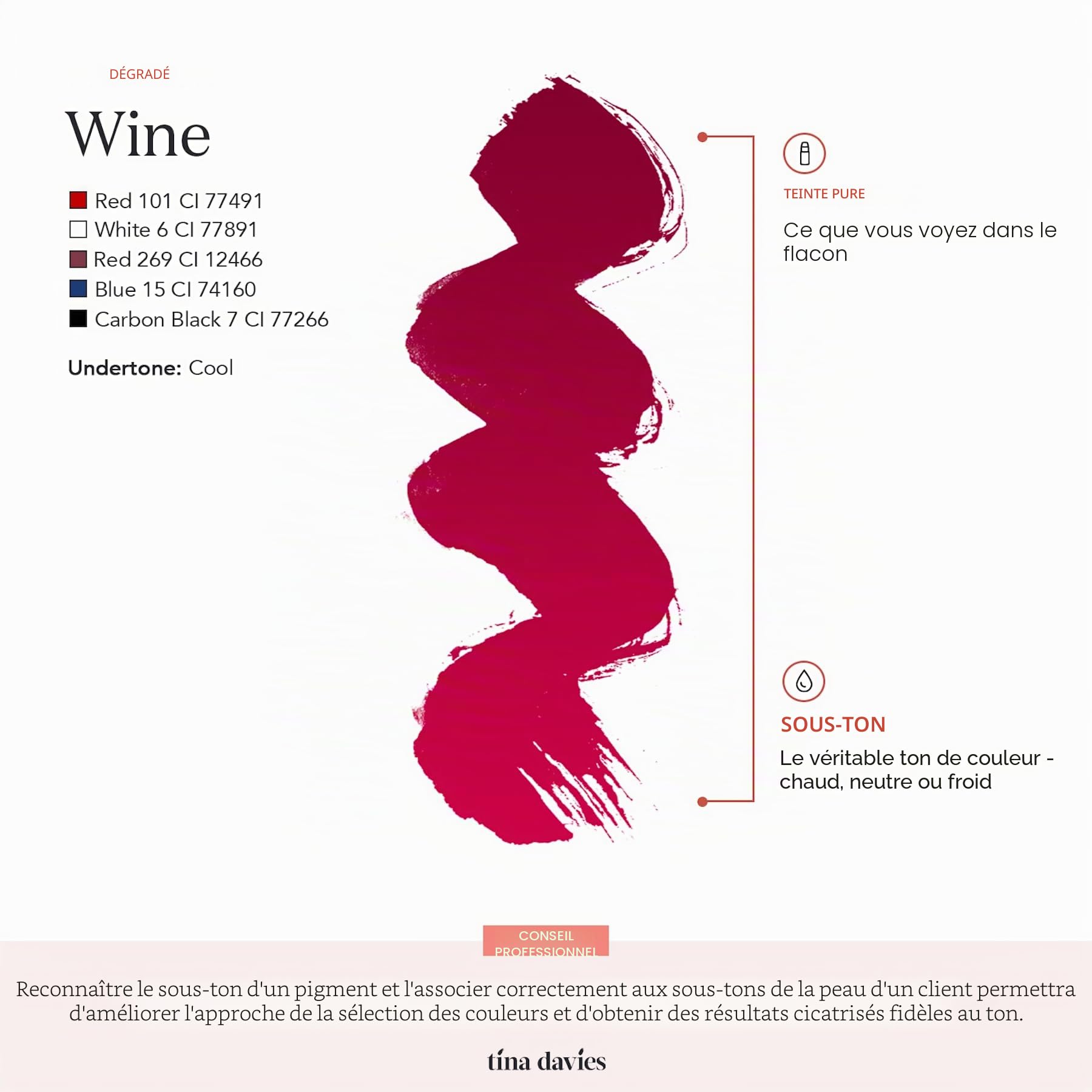Tina Davies Professional Envy & Lust Pigments à lèvres – Maquillage permanent pour les lèvres – Couleurs soignées fidèles au ton – Haute rétention – Envy Wine, flacon de 15 ml