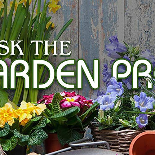 Star Spangled Radio - Hour 1 - 2.16.19