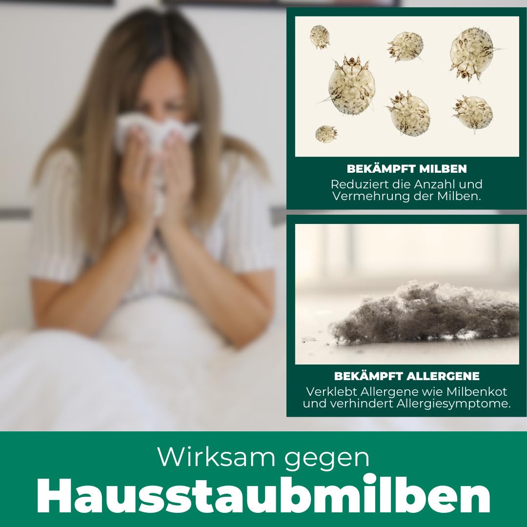 Silberkraft Milbenspray Sofa Textil 2L Kanister - Anti Milben Spray für Polstermöbel Couch Kissen - Hausstaubmilben vertreiben auf Textilien