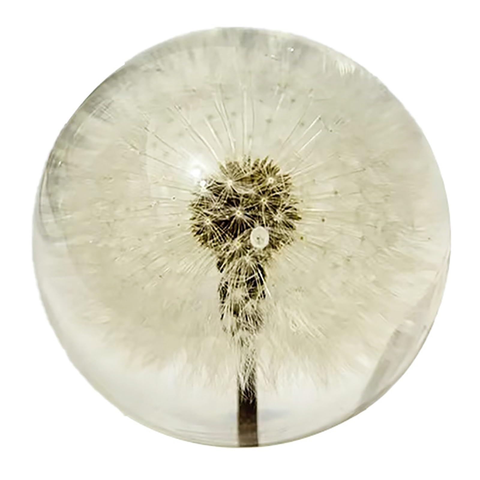 Gbkbvtatdk White Real Dandelion Paperweight, Clear Resin Ball With Real Dandelions, Decorative Sphere With Flat Bottom, Symbol Of Hope And Wishes, For Home Office Desk, For Gift Birthday Wedding Graduation(White)