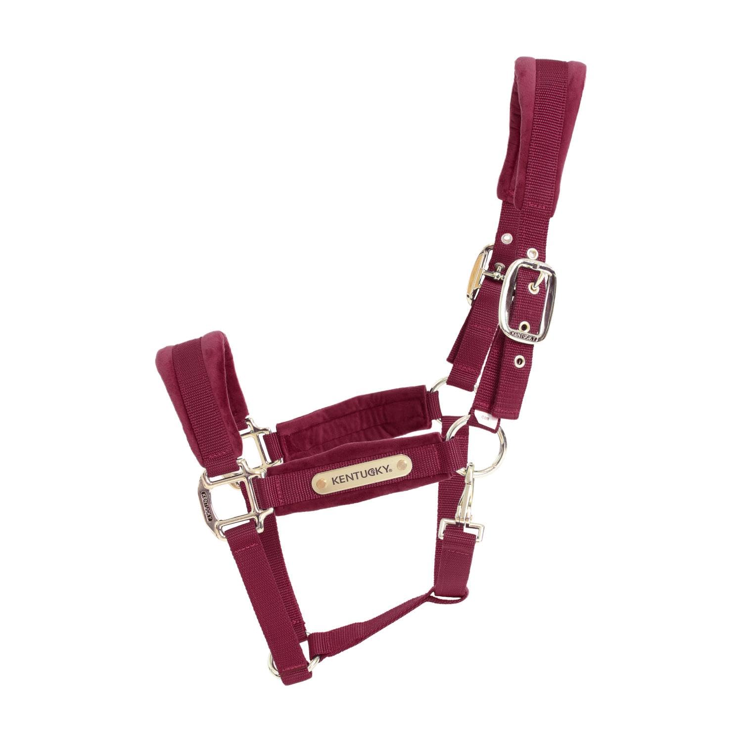 Kentucky Horsewear - Halfter - Samt - Bordeaux - Cob