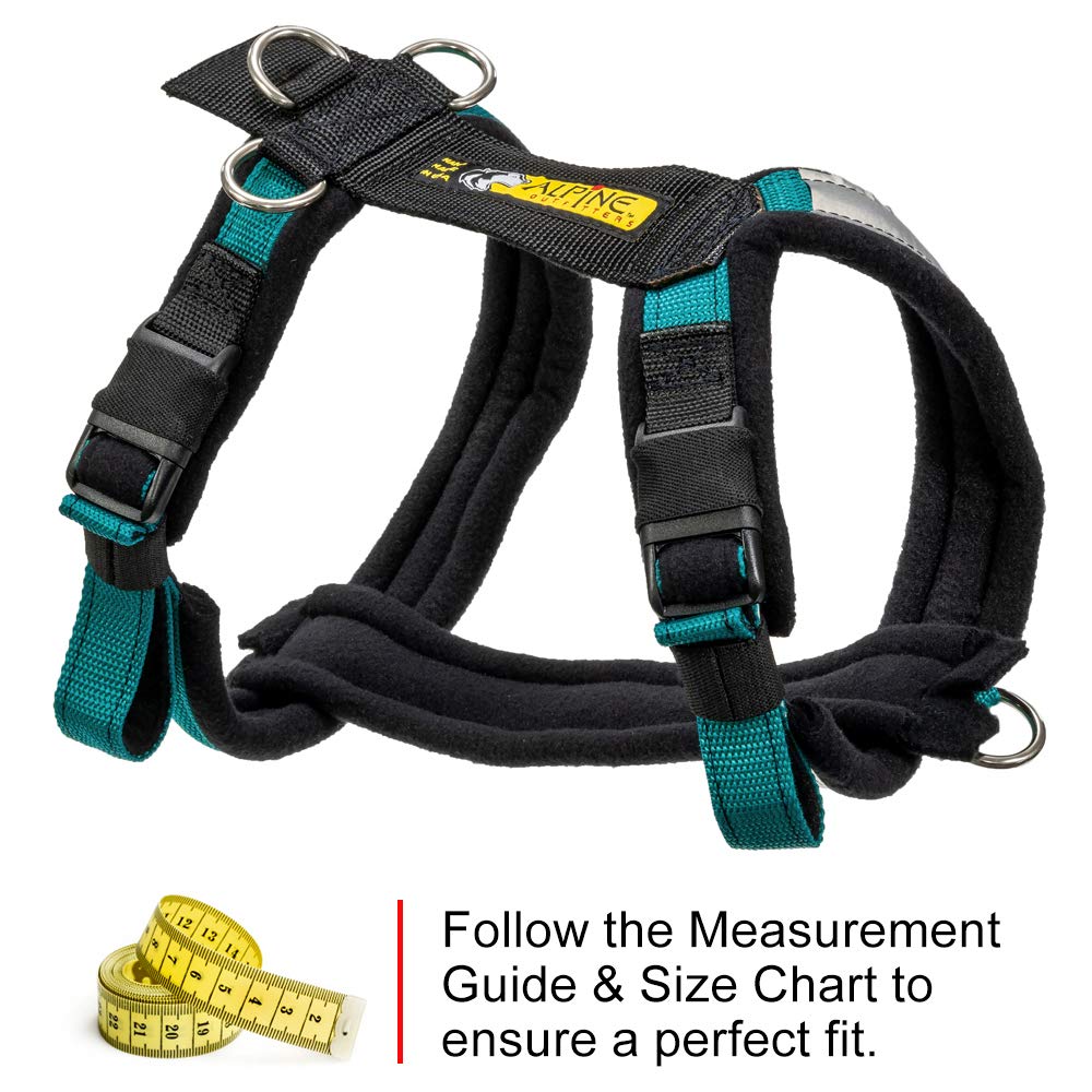 Alpine Outfitters Urban Trail Adjustable Harness (Large, Teal)