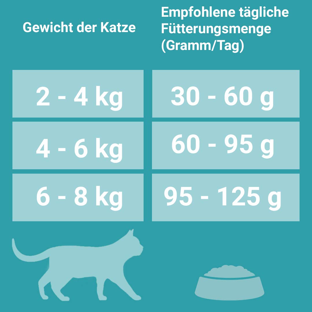 PURINA ONE Bifensis Adult Katzentrockenfutter: reich an Lachs, stärkt natürliche Abwehrkräfte, für gesunde Knochen, Haut, Zähne & Harnwege I ab 1 Jahr