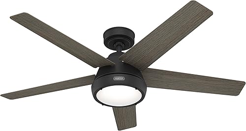 Hunter Fan Company 52422 Burroughs Ventilador de techo, negro mate
