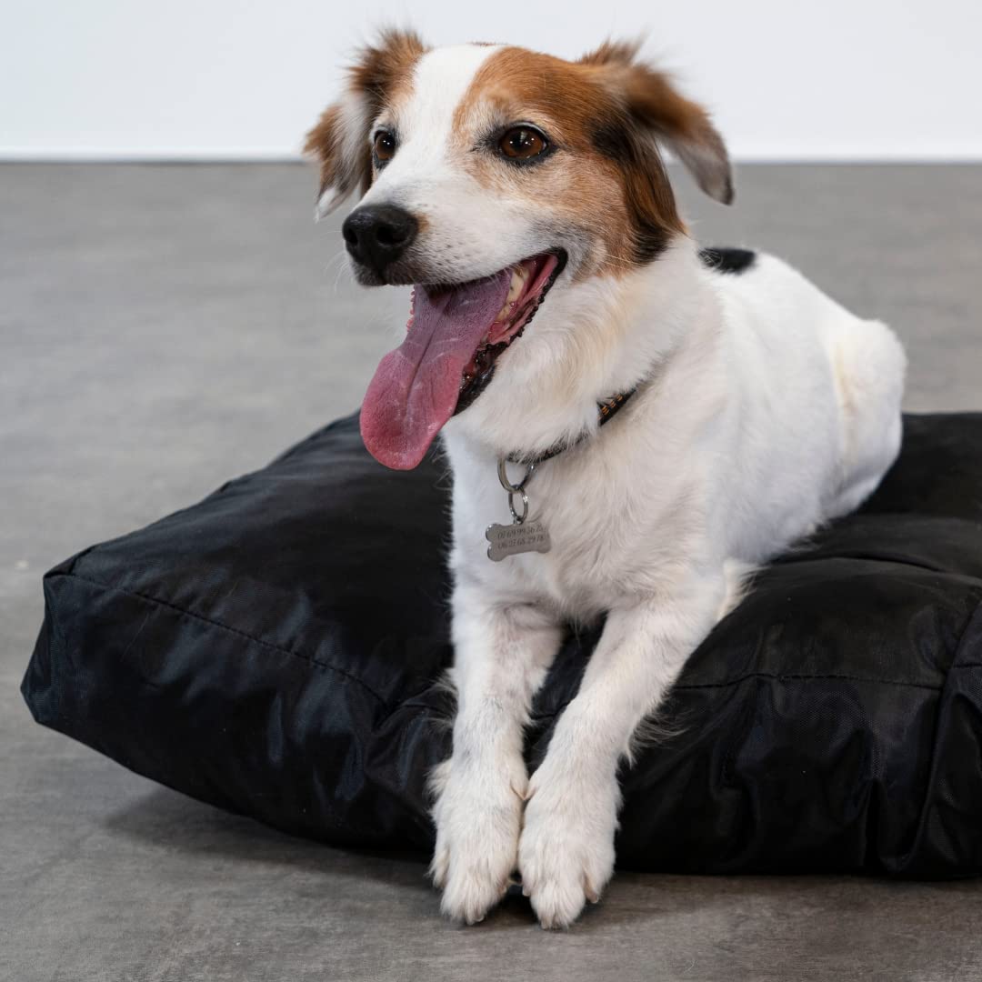 Bananair - Zacht en comfortabel hondenkussen - royaal gevoerd, afneembare overtrek en machinewasbaar - mand/bed/matras voor kleine en grote honden, verschillende maten (115 x 130 cm, lichtgrijs Bananair - Zacht en comfortabel hondenkussen - royaal gevoerd, afneembare overtrek en machinewasbaar - mand/bed/matras voor kleine en grote honden, verschillende maten (115 x 130 cm, lichtgrijs