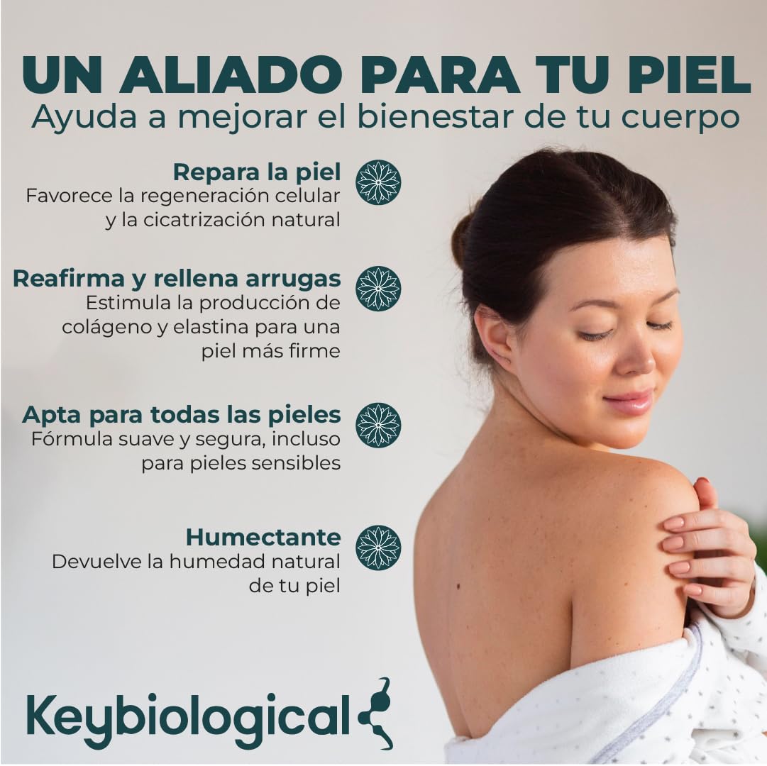 Crema De Noche Facial Regeneradora + Crema Hidratante Facial Mujer Con Ácido Hialurónico + Crema Antiarrugas Mujer Con AOVE Ozonizado + Centella Asiática + Vitamina E + Hidratante Facial Vegana