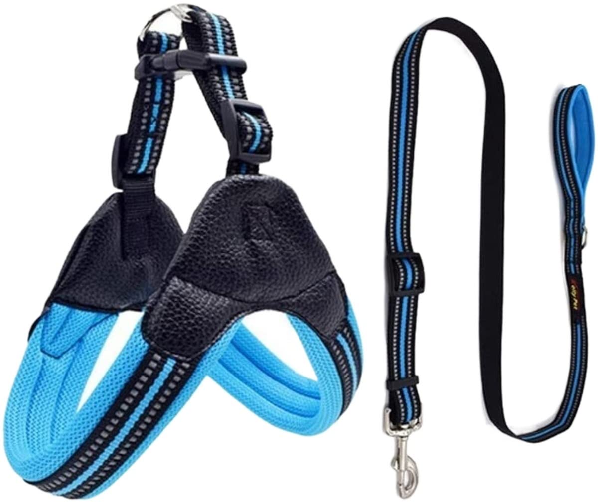Correa Perro Arnés De Malla De Nailon Transpirable para Perros, Arnés Y Correa Ajustables Reflectantes para Perros, Correa para Mascotas Correa Perro Suave(Blue,50-54cm)