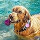 Silikonhalter für Airtag Hundehalsband, Aufschiebbare Leichte wasserdichte Hülle für Airtag Hund/Katze 2021 Zubehör