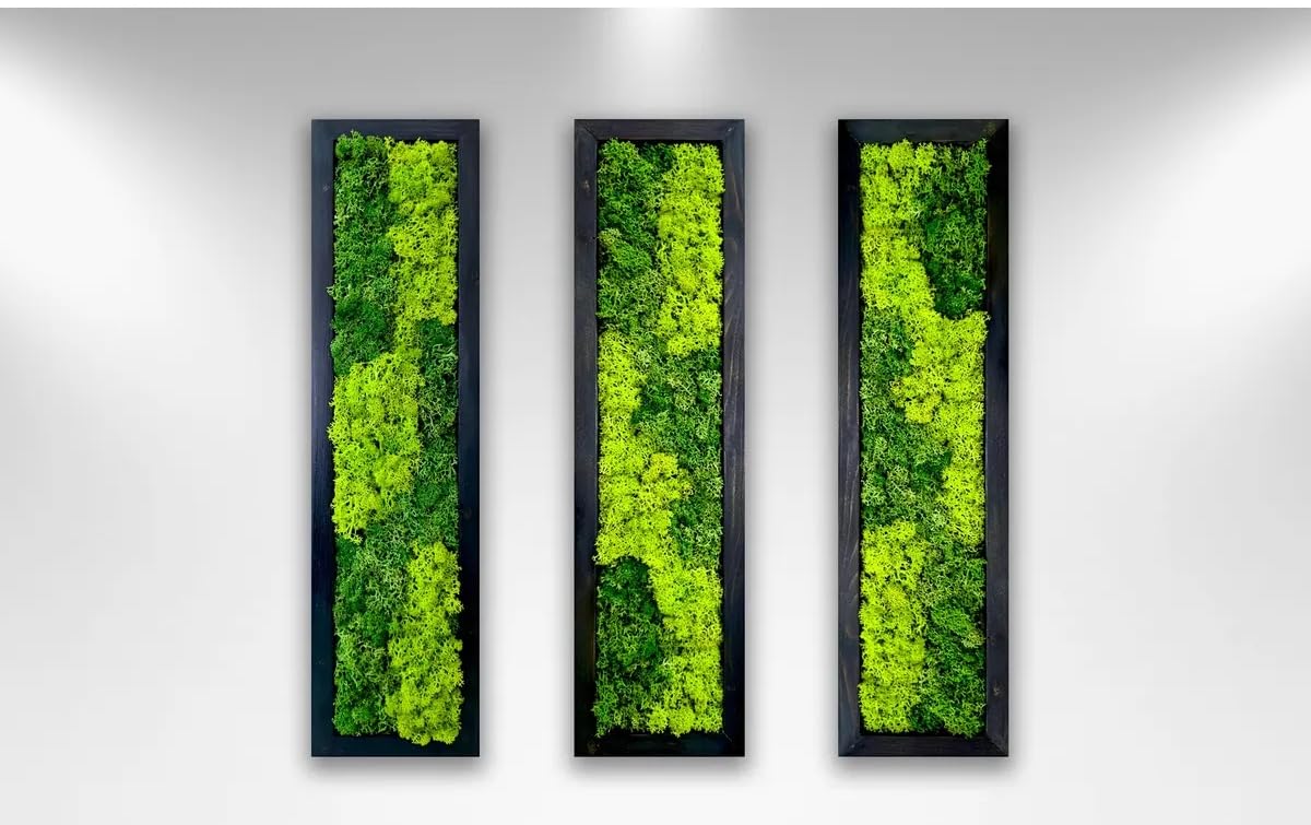 Mosschilderijen: Unieke natuurlijke decoratie