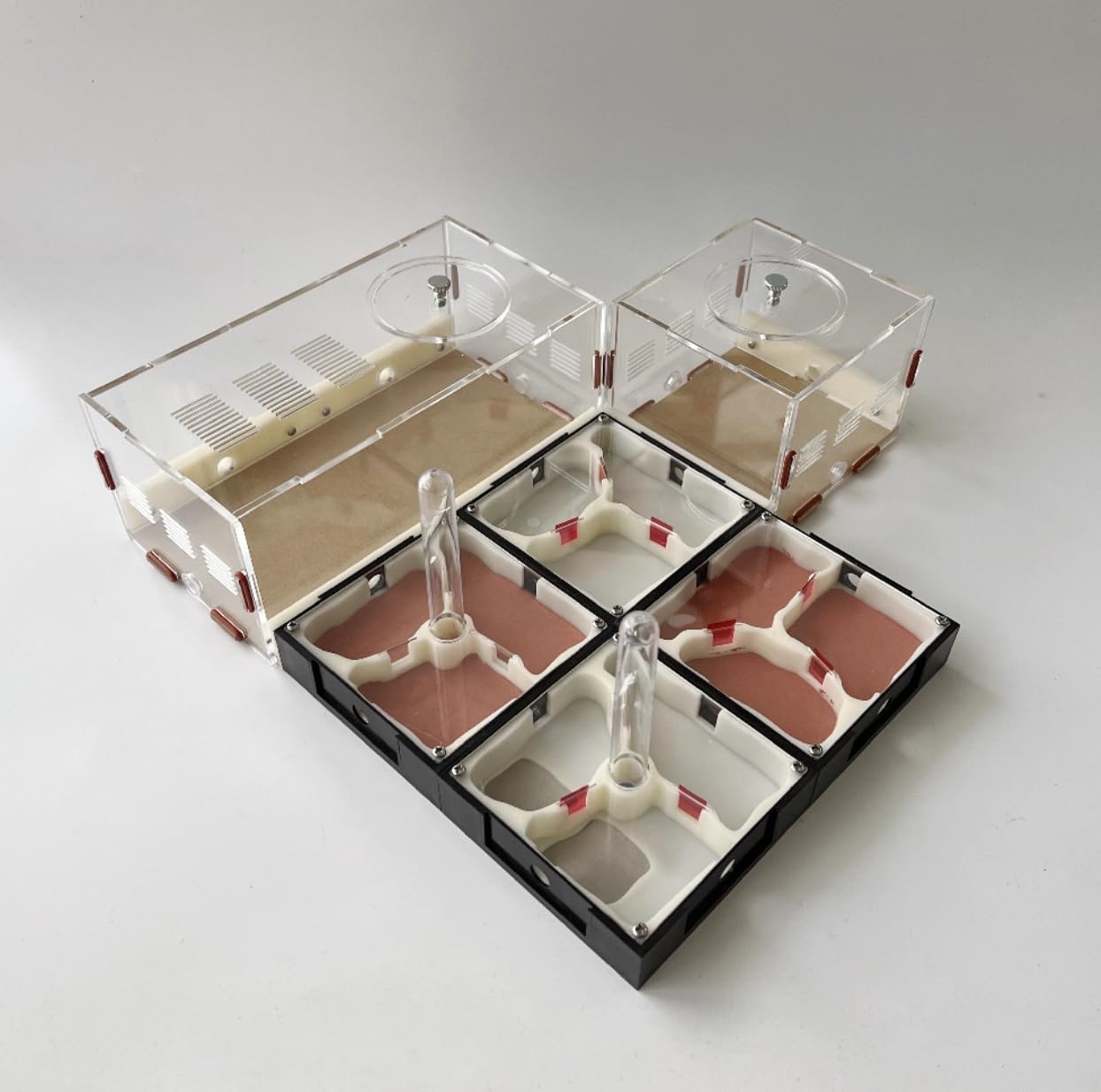 Ant Farm Habitat Terrarium d'observation en acrylique transparent avec chambre d'activités pour les débutants