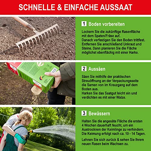 Foto von ONBEST Qualitäts Rasensamen RSM 2.3 für die ganze Familie – 1kg Sport und Spielrasen – strapazierfähig, sattgrün & pflegeleichter Rasen/Gras – Samen ideal für Neuansaat und Nachsaat – Mit Blumensamen