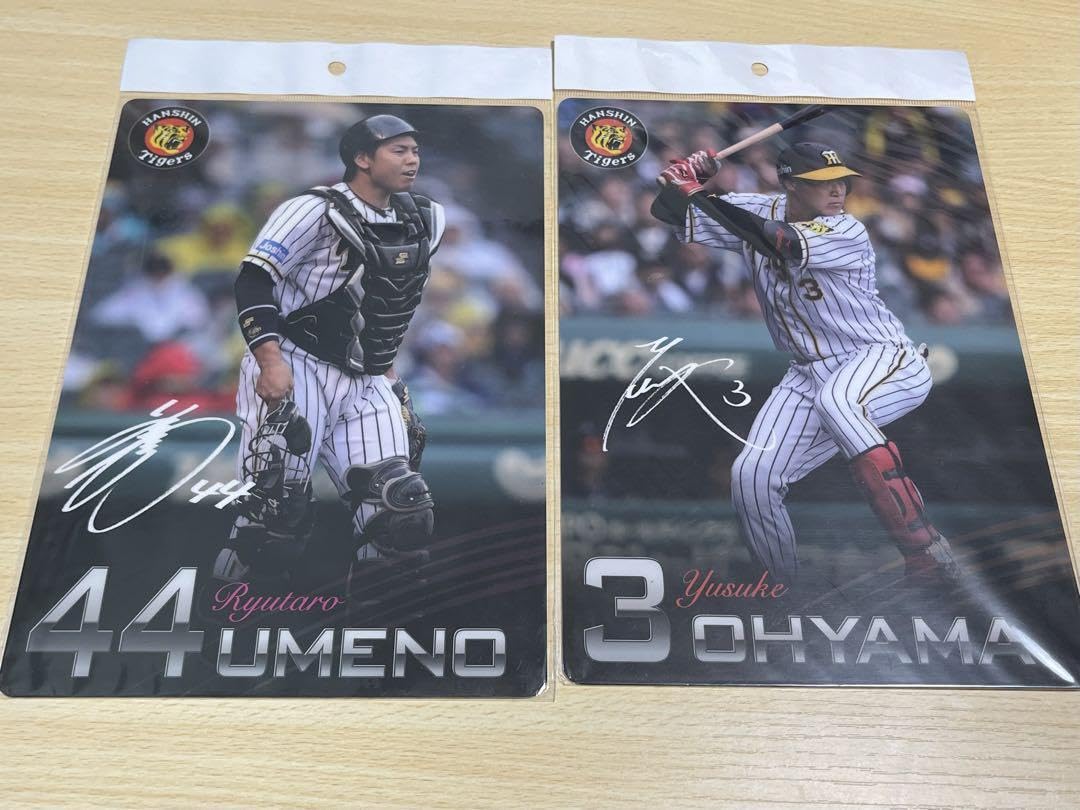 Amazon.co.jp: 阪神タイガース 下敷き : 文房具・オフィス用品