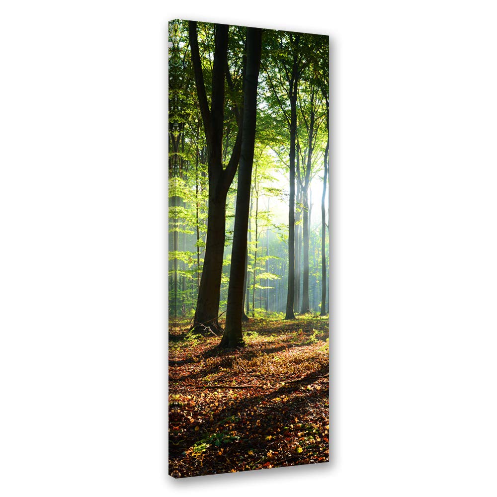 Feeby Leinwand Bilder - Natur - Wald - 50x150 cm- Deko Wohnzimmer - Wandbilder Schlafzimmer - Deko Aesthetic - Wand Deko - Leinwand Groß - Bäume - Deko Zimmer - Leinwandbilder XXL