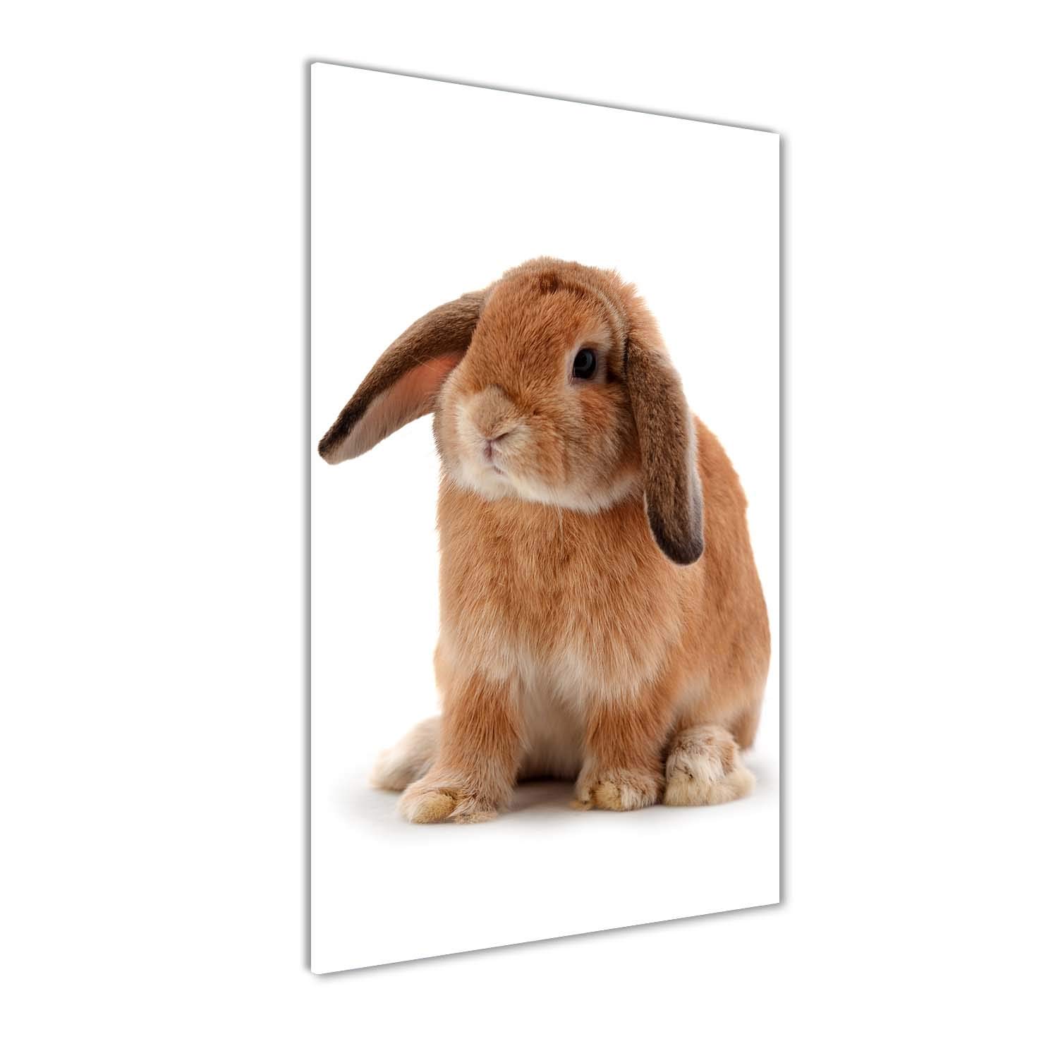 Crédence de cuisine décorative pour illuminer votre espace avec un lapin orange
