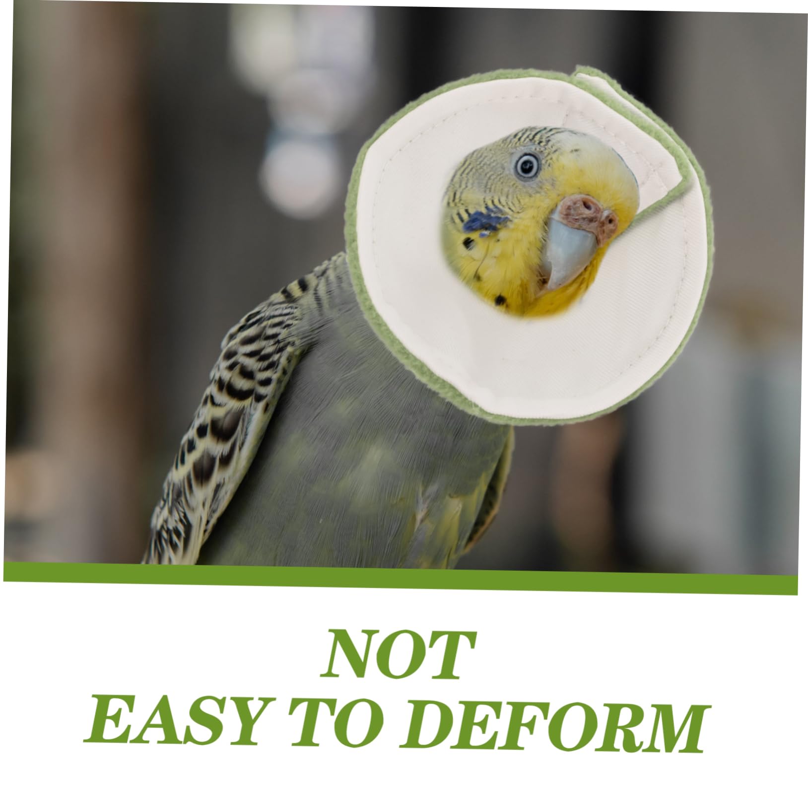 FOOD PLNT POURNFEED 32OZ