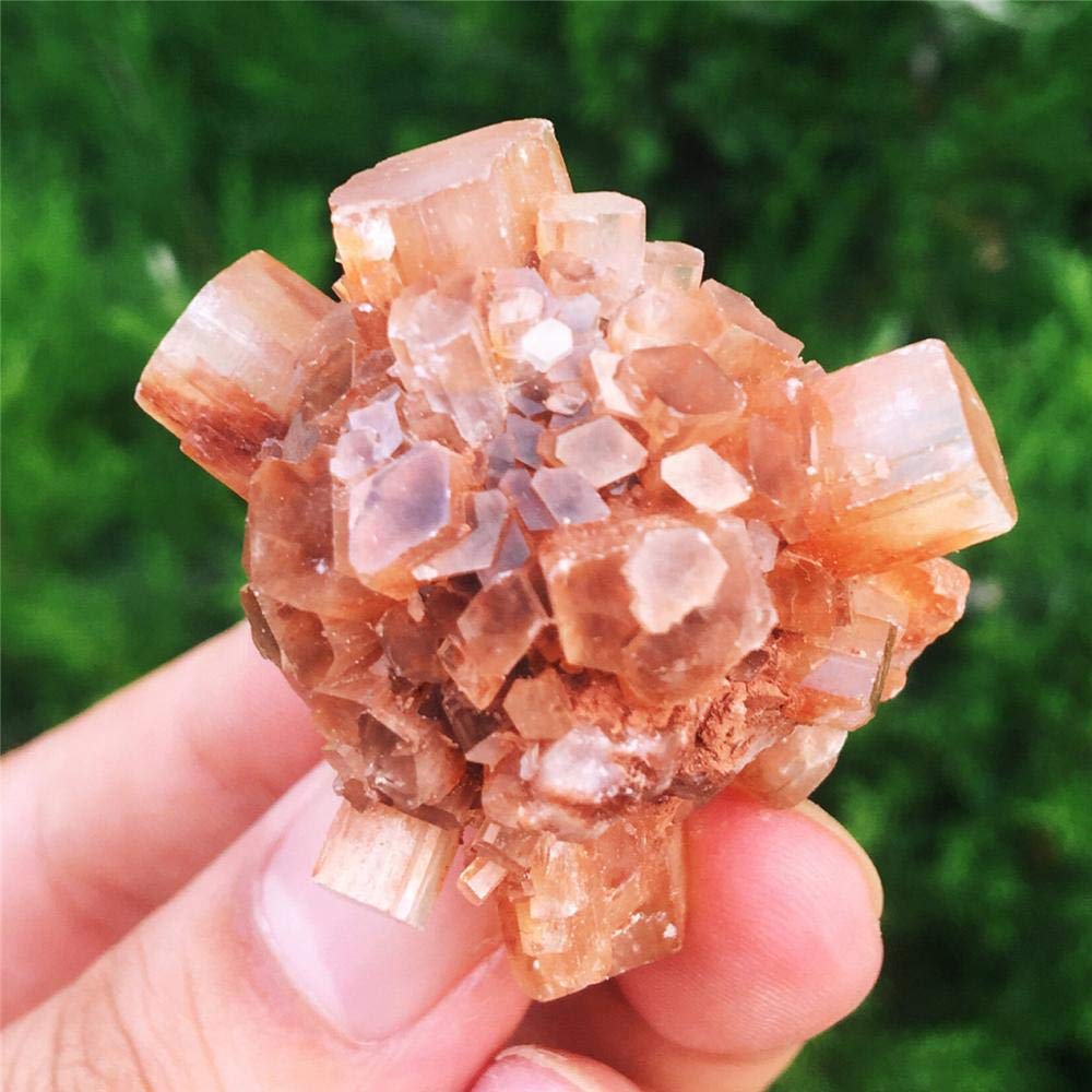 PAKMEZ Cluster di Cristalli Naturali di Aragonite Cristalli Naturali e Grezzi Irregolari -