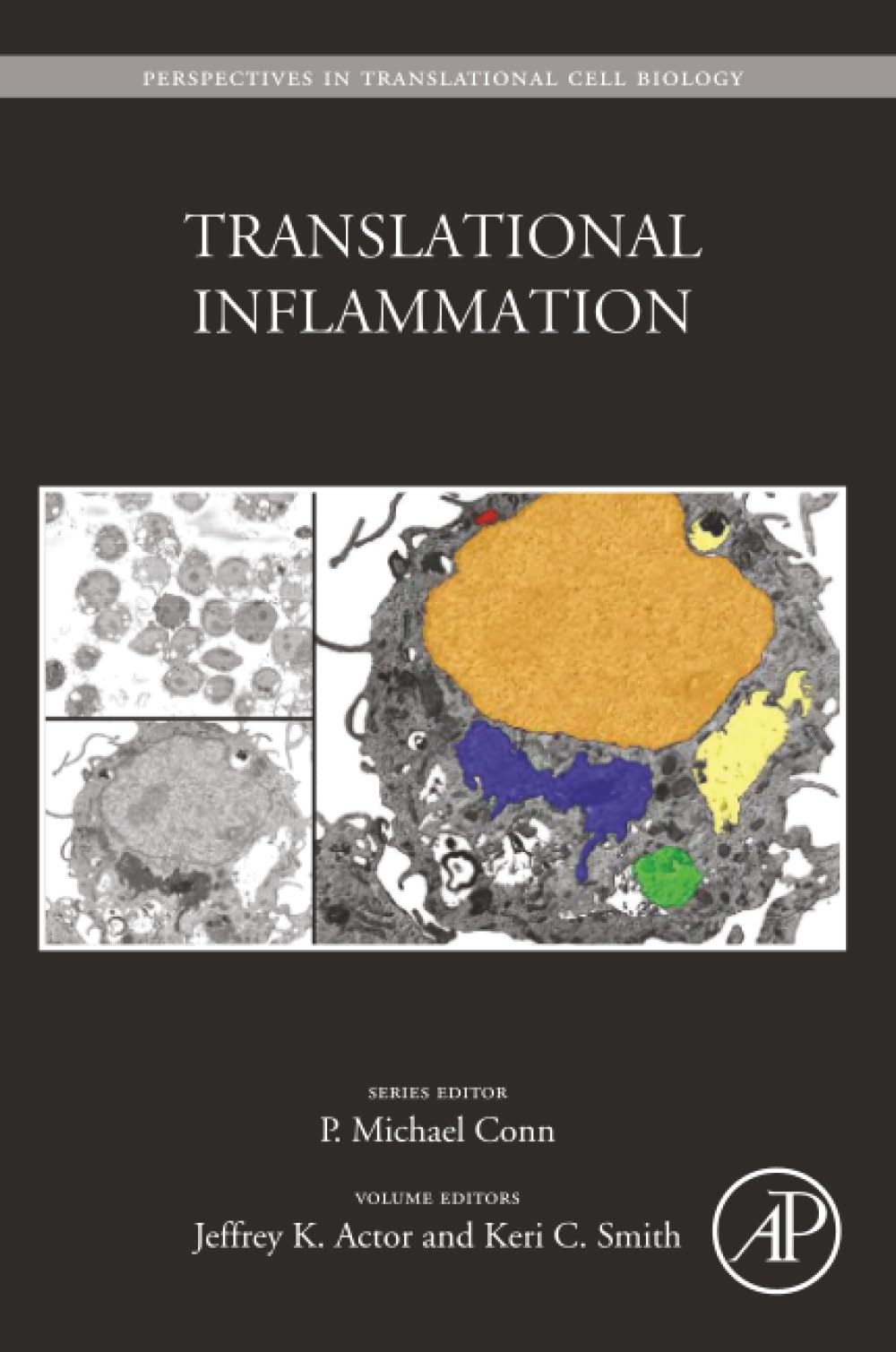 Translational Inflammation (Volume 4) (Perspectives in Translational Cell Biology, Volume 4)