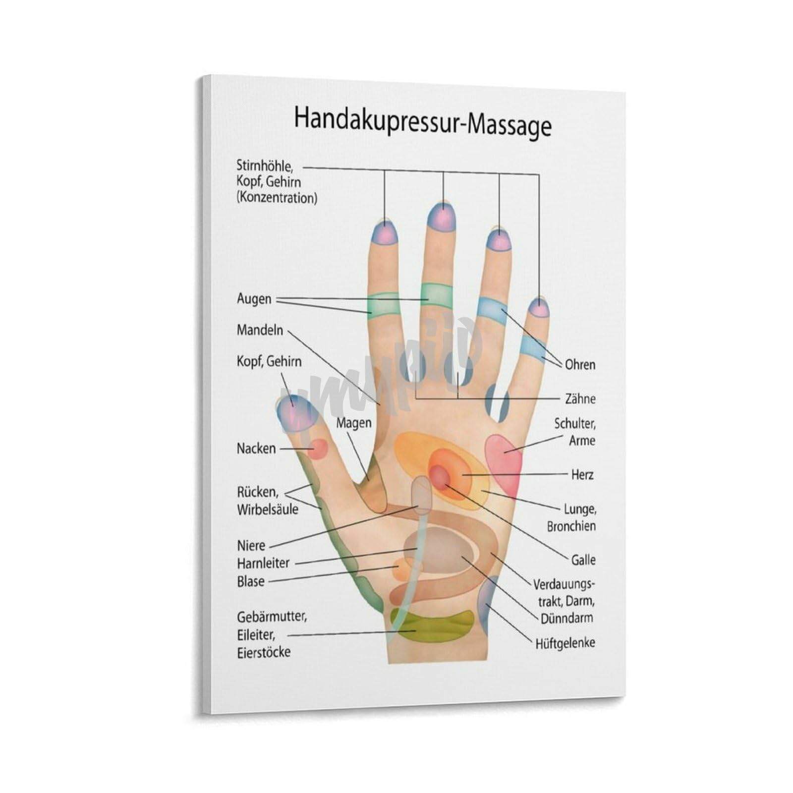 Hand Reflexology Chart Laminated : Industrial & Scientific