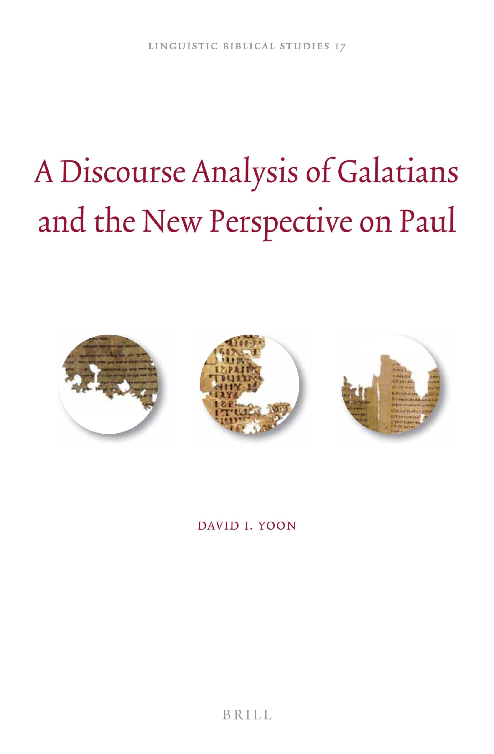A Discourse Analysis of Galatians and the New Perspective on Paul: 17 (Linguistic Biblical Studies, 17)