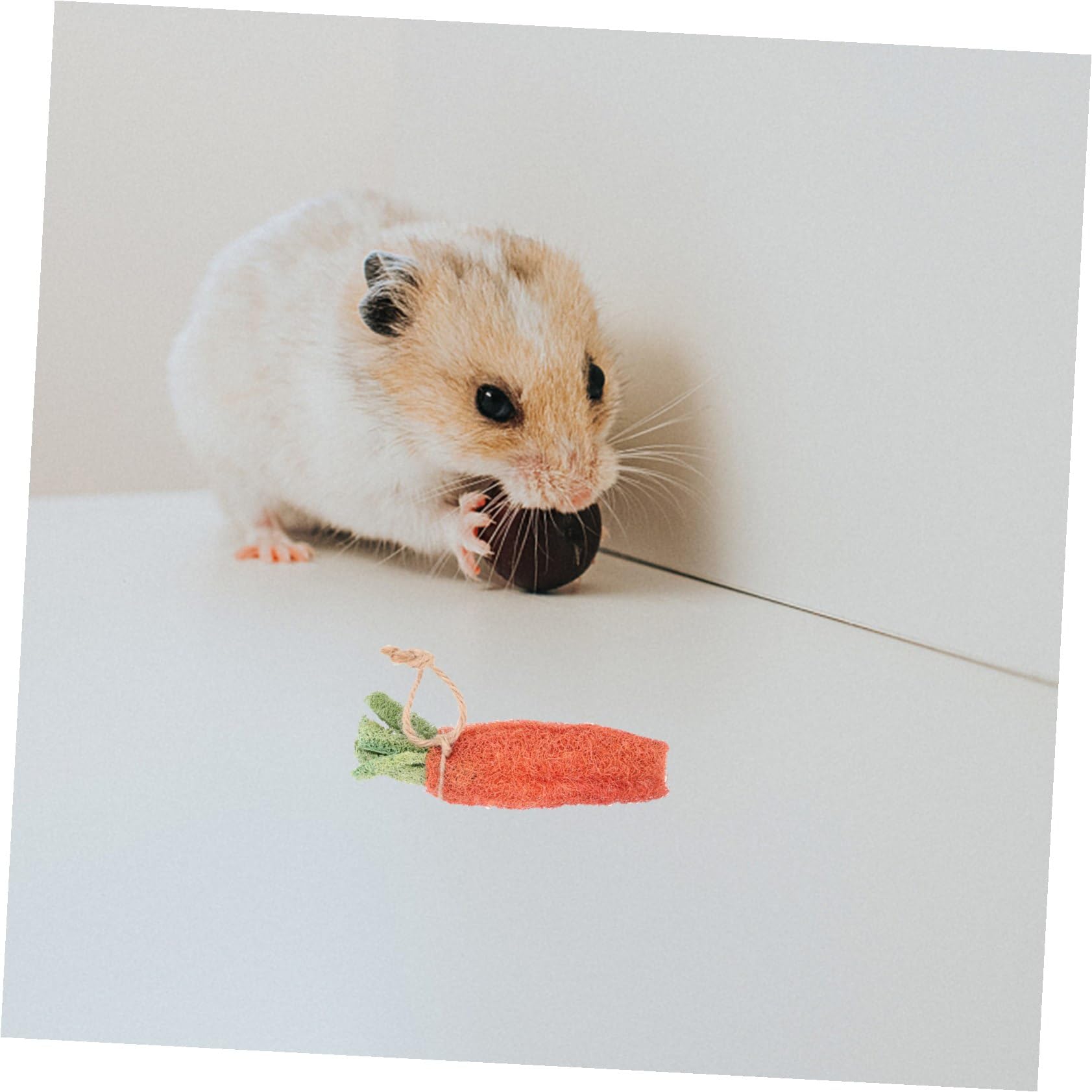 BESPORTBLE 8pièces Jouets à Mâcher pour Hamsters Décoration pour Cage De Hamster Accessoires pour Lapins Jouets pour Petits Animaux