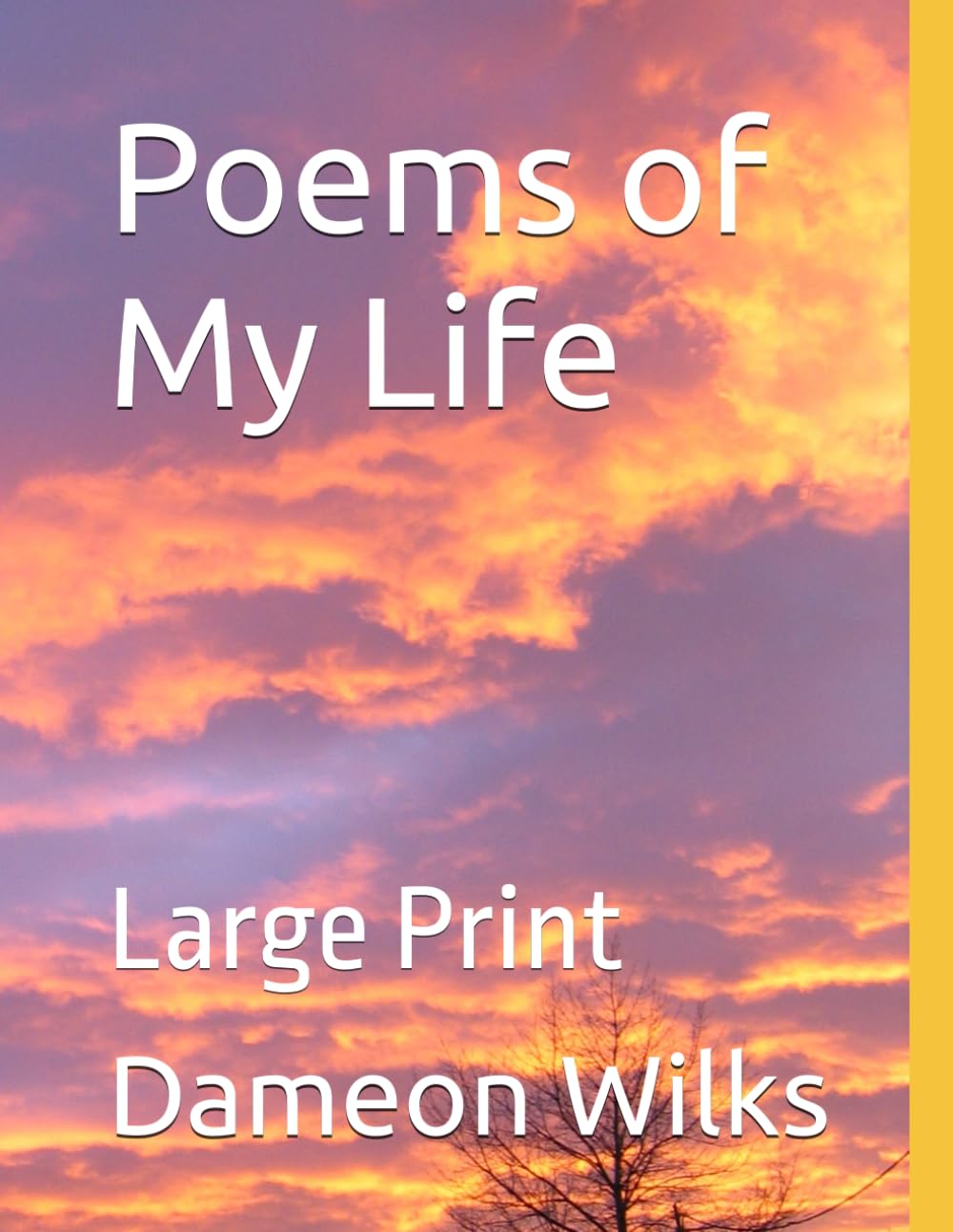 Poems of My Life: Large Print (This is Me)