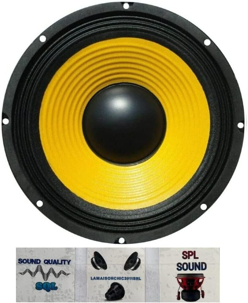 1 WEB W-108 woofer da 25 cm 250 mm 10', da 75 watt rms e 150 watt max, con impedenza 8 ohm, sensibilità 88 db, per casa,1 pezzo + 3 sticker omaggio