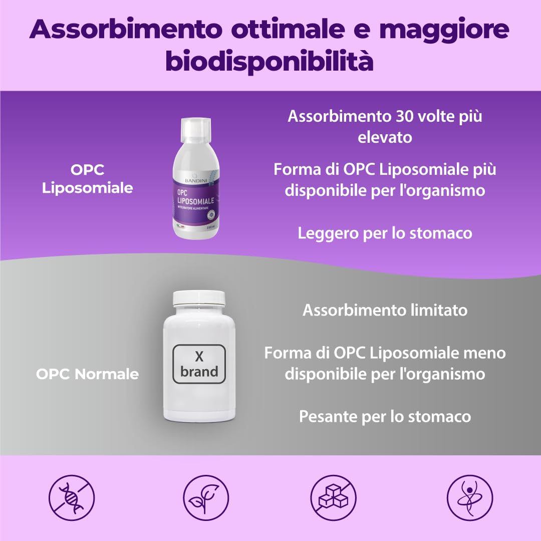 Bandini® OPC Liposomiale Liquido 250ml - Estratto di Semi d'Uva 95% OPC (200mg a Dose) - Formula Assorbimento Ottimale con Tecnologia Liposomiale - Integratore Antiossidante Naturale - Per 25 giorni