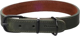Cane Collare Montana Verde L 43,5-53,5cm 25mm