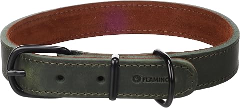 Cane Collare Montana Verde L 43,5-53,5cm 25mm