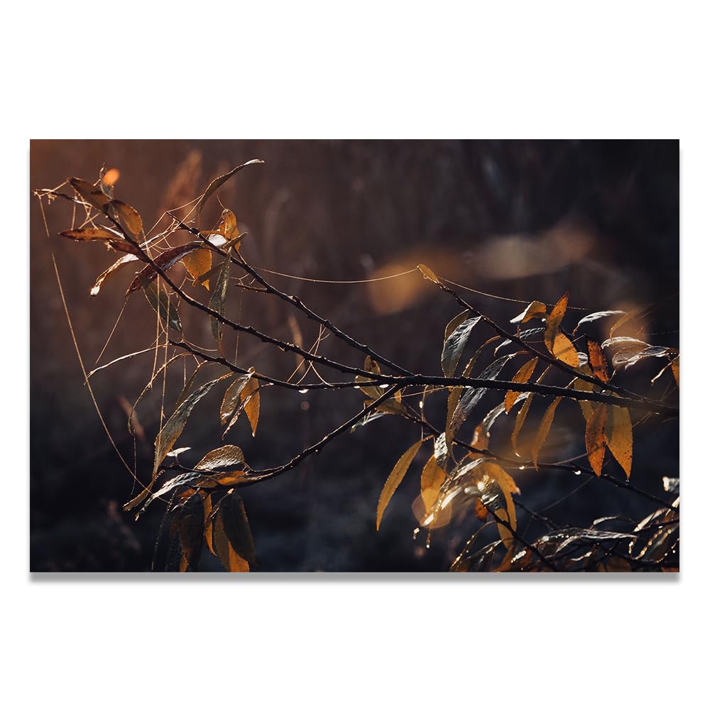 VHdfgTY EntanglementMountain Landscape Canvas Wall Art Nature Scenery Wall Decor for Home 70x105cm Unframed