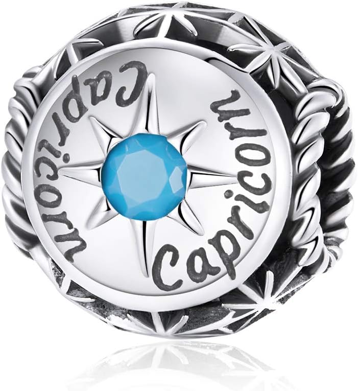 12 Constellation Charms 925 Sterling Silver Crystal Zircon Charms Family and Friends' Birthday Charm Birthstone Charms for Women Bracelets