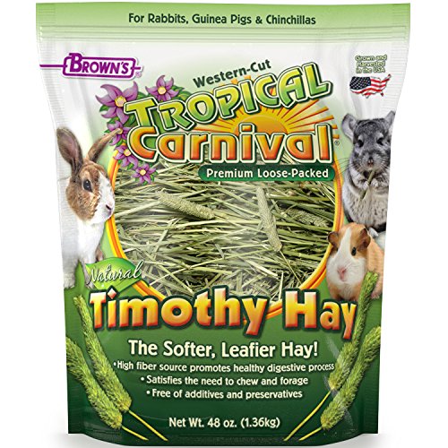 F.M. Brown s Tropical Carnival Natural Timothy Hay for Guinea Pigs, Rabbits, and Other Small Animals, with High Fiber for Healthy Digestion - 48 oz
