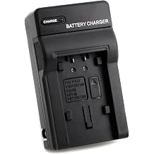 Norifon VW-VBY100 Wall Charger for Panasonic HC-V110, HC-V110GK