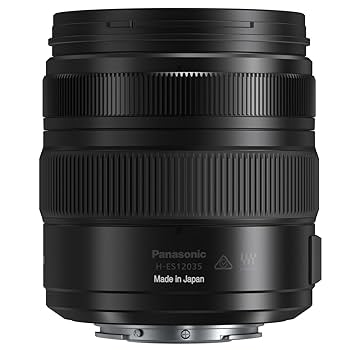 Amazon.com : Panasonic LUMIX G X Leica DG Vario-Elmarit 12