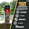 Red Devil 0916 Spray Foam & Fill Landscape Adhesive Foam, Gap Filler, 12 oz, Black, 1 Pack